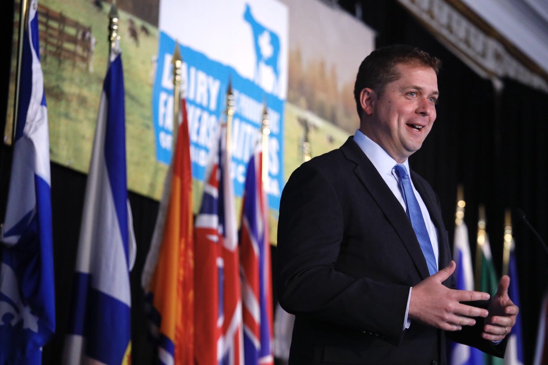 Ein Mann in Anzug und Krawatte spricht an einem Podium mit Mikrofonen, umgeben von Fahnen und einem Bildschirm, wahrscheinlich zu einer Regierungszahlung für die Milchindustrie.