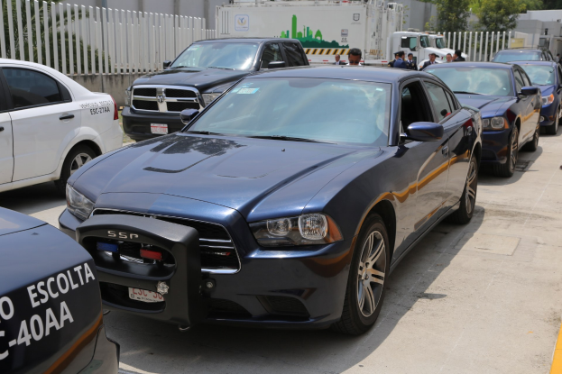 Eine Gruppe von Polizeiwagen, die nebeneinander auf einem Parkplatz geparkt sind, mit Menschen im Vordergrund auf der Straße und einem Zaun, Bäumen, Gebäuden und einem klaren blauen Himmel im Hintergrund.