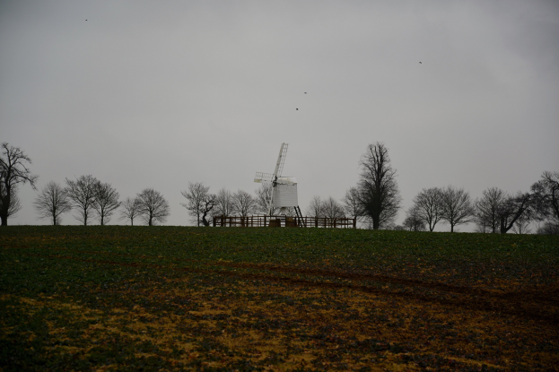 Eine Windmühle steht in einem eingezäunten Feld mit Bäumen in der Nähe, unter einem bewölkten Himmel mit Vögeln, die darüber fliegen.