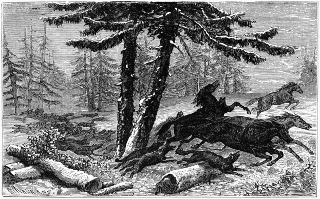 Eine Schwarz-Weiß-Zeichnung von Pferden, die durch einen Wald mit Bäumen und Holzstämmen auf dem Boden laufen, mit Text unten.