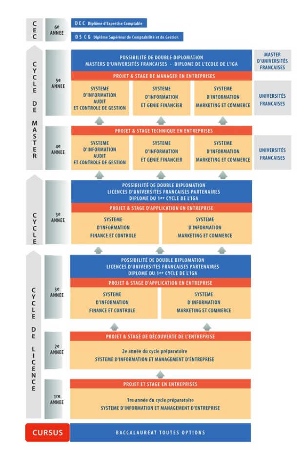 Diagramm, das die organisatorische Struktur eines Unternehmens mit interconnected boxes darstellt, die verschiedene Phasen des Geschäftswachstums und der -entwicklung darstellen, begleitet von beschreibendem Text.