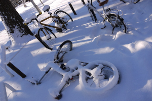 Eine Reihe von Fahrrädern, teilweise mit Schnee bedeckt, neben einem Baumstamm und der Straße aufgereiht.