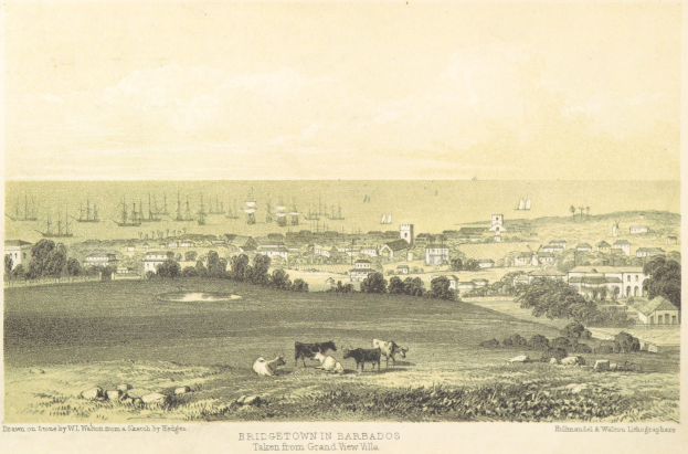 Eine Stadtansicht mit Kühen, die im Vordergrund grasen, umgeben von Bäumen, Gebäuden und Booten auf dem Wasser, mit Text unten.