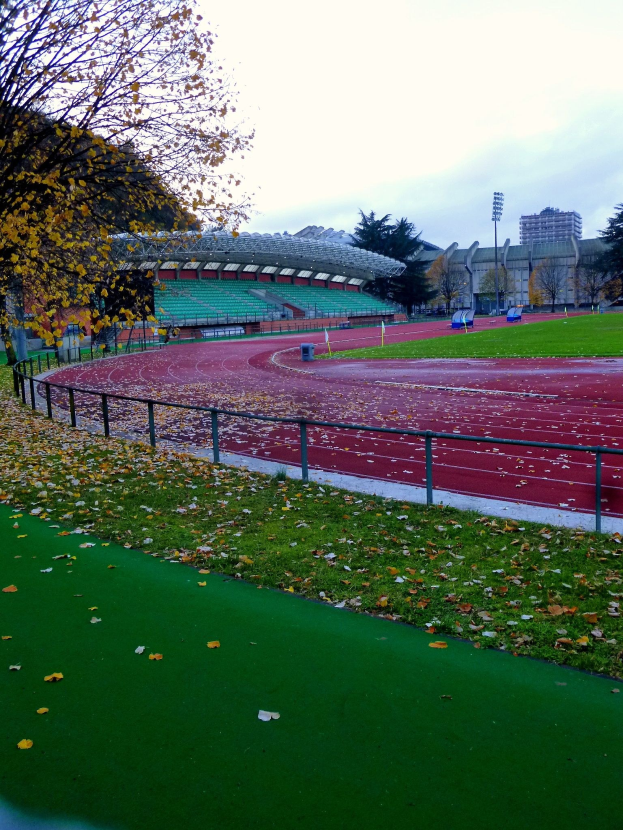 Eine Laufbahn in einem Park mit heruntergefallenen Blättern, umgeben von einem Zaun, Gras, Bäumen, Tribünen, Laternenmasten, Gebäuden und einem bewölkten Himmel.