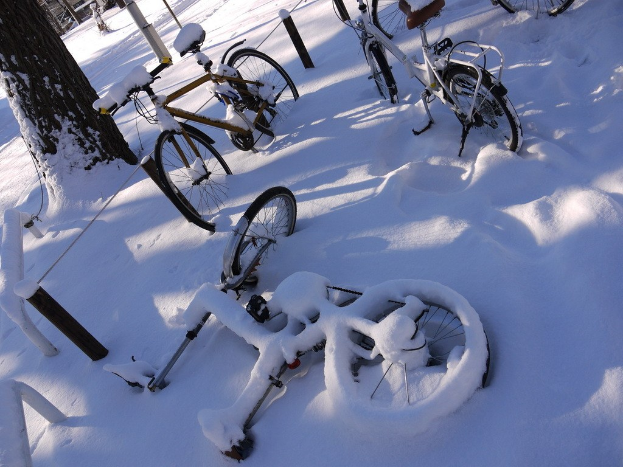 Eine Reihe von Fahrrädern, teilweise von Schnee bedeckt, steht neben einem Baumstamm und der Straße.