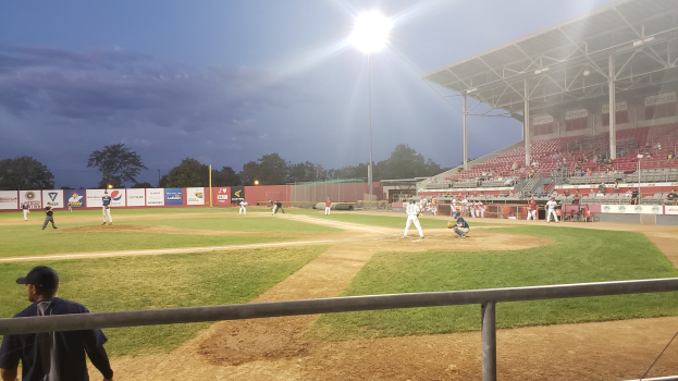 Baseballspiel in einem Stadion mit Zuschauern in den Rängen, einem Geländer im Vordergrund und einer Kulisse aus Bäumen, Pfählen, Lichtern, Werbetafeln und einem klaren blauen Himmel.