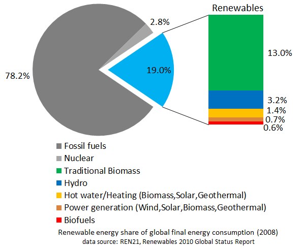 Tortendiagramm, das den globalen Verbrauch von erneuerbaren Energien im Jahr 2008 zeigt, aufgeschlüsselt nach Quellen wie fossile Brennstoffe, Kernenergie, Wasserkraft, Warmwasserheizung, Biomasse, Solarenergie, Geothermie und Biokraftstoffe.