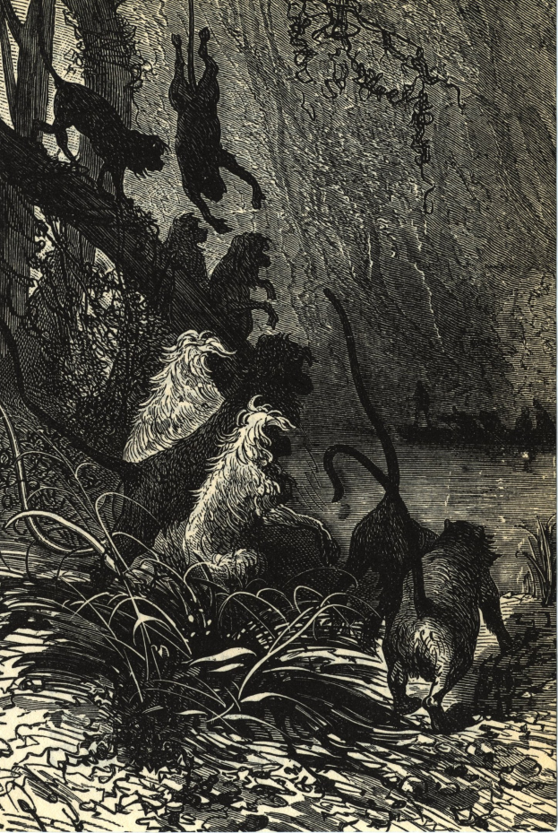 Schwarze und weiße Illustration einer Gruppe von Löwen in einer Dschungellandschaft mit dichter Vegetation, die den Text 'Der Löwenkönig' am Boden zeigt.