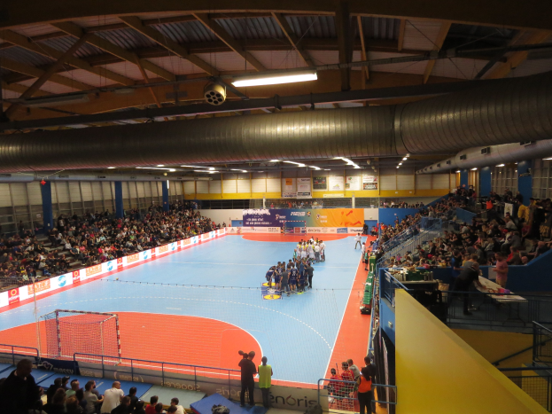 Große Halle mit Zuschauern bei einem Handballspiel, mit Sitz- und Stehplätzen, einem Netz auf der linken Seite, Texttafeln im Hintergrund und Beleuchtung und Rohren an der Decke.